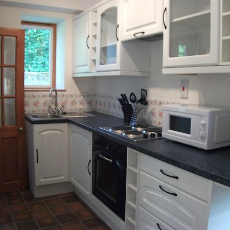 Bryn Cottage Llandderfel Екстериор снимка