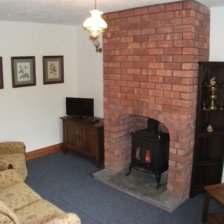Bryn Cottage Llandderfel Екстериор снимка