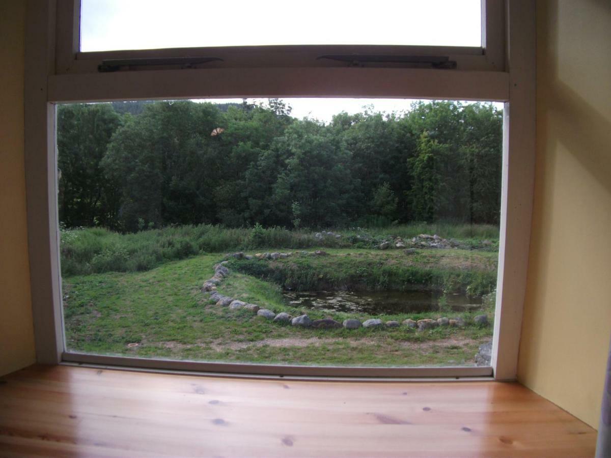 Bryn Cottage Llandderfel Екстериор снимка