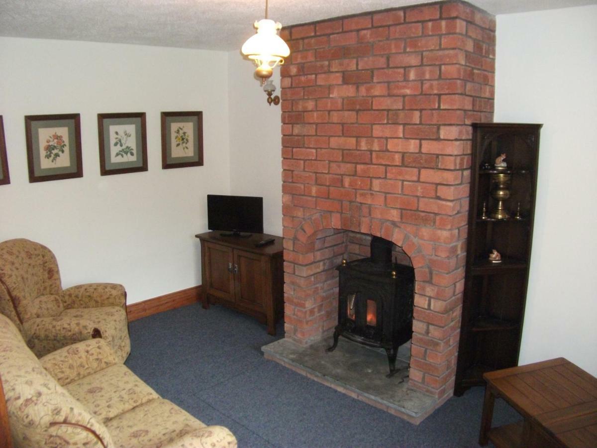 Bryn Cottage Llandderfel Екстериор снимка
